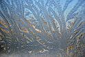 2010-12-01, Eisblumen (7)